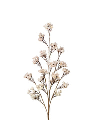 Cherry Blossom Multi-Bloom Stem Blush 40”