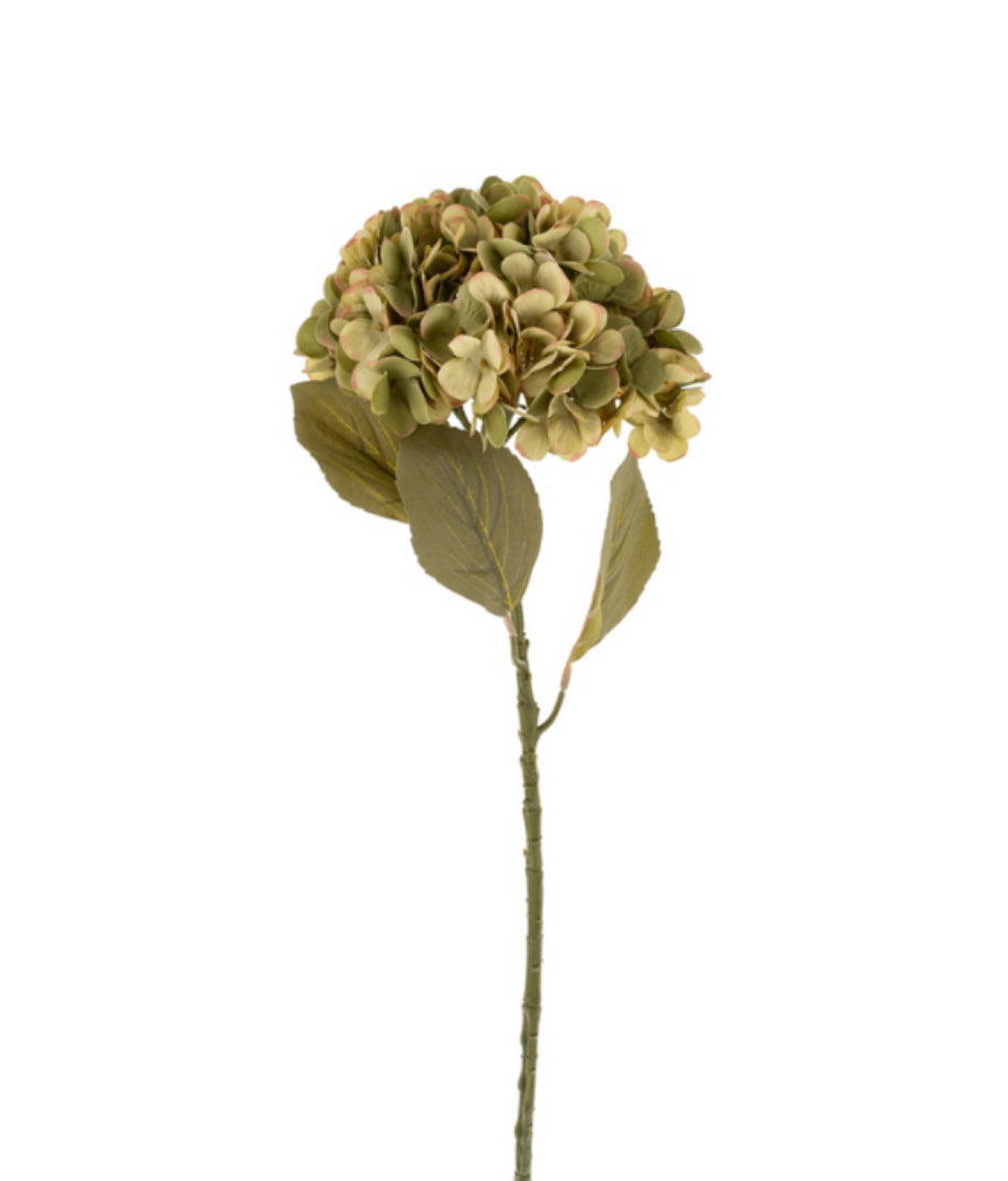 Faded Hydrangea Stem 24”