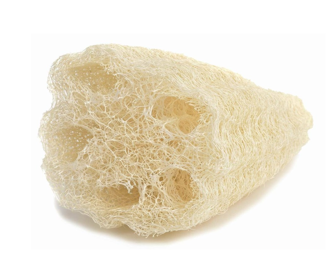 Natural Loofah Sponge