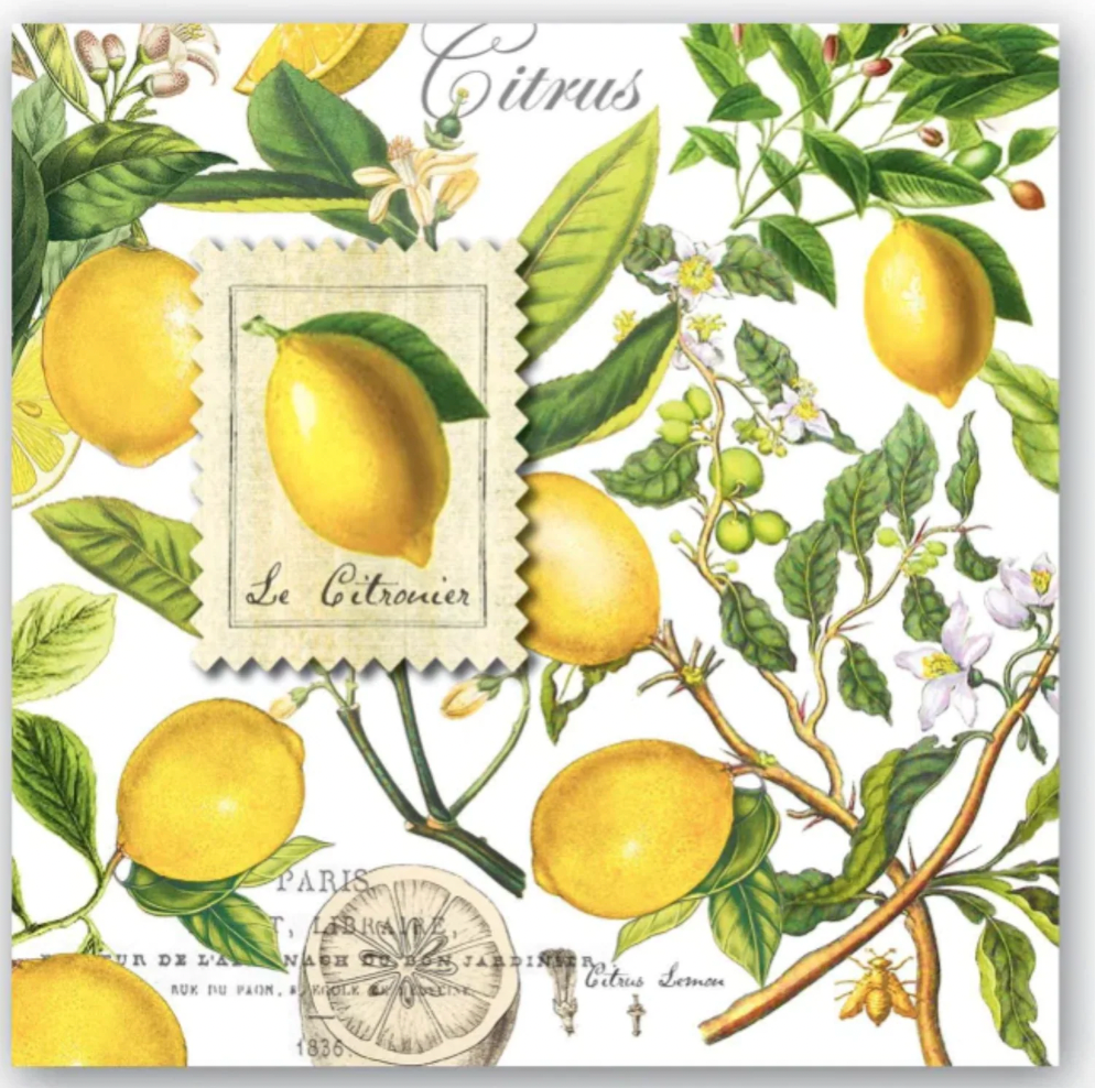 Michel Design Works Lemon Basil Cocktail Napkins