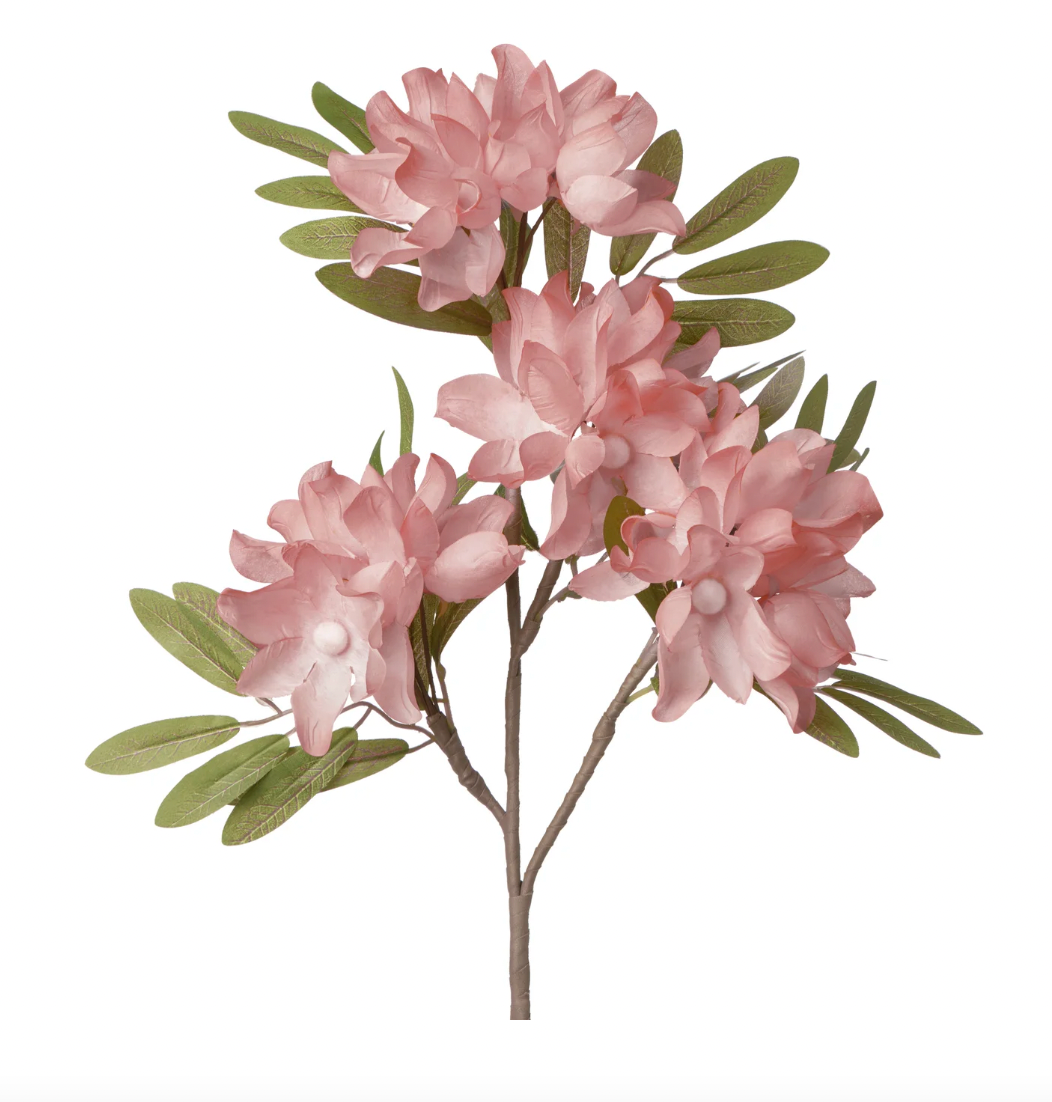 Apple Blossom Cluster Pink