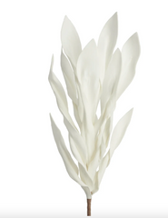 Desert Broad Leaf Flame Grass 38L" Stem - Antique White