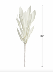 Desert Broad Leaf Flame Grass 38L" Stem - Antique White