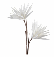 Desert Two Bloom Cactus Flower 37L" Stem - White