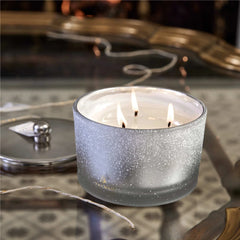 Thymes Frasier Fir 3 Wick Flocked Collection Statement Poured Candle