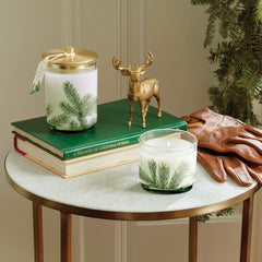 Thymes Frasier Fir Heritage Medium Pine Needle Luminary 11oz