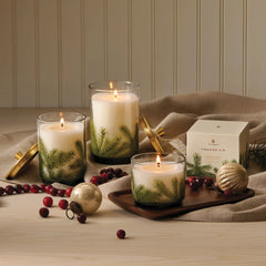 Thymes Frasier Fir Heritage Medium Pine Needle Luminary 11oz