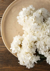 Hydrangea Floral Spray White