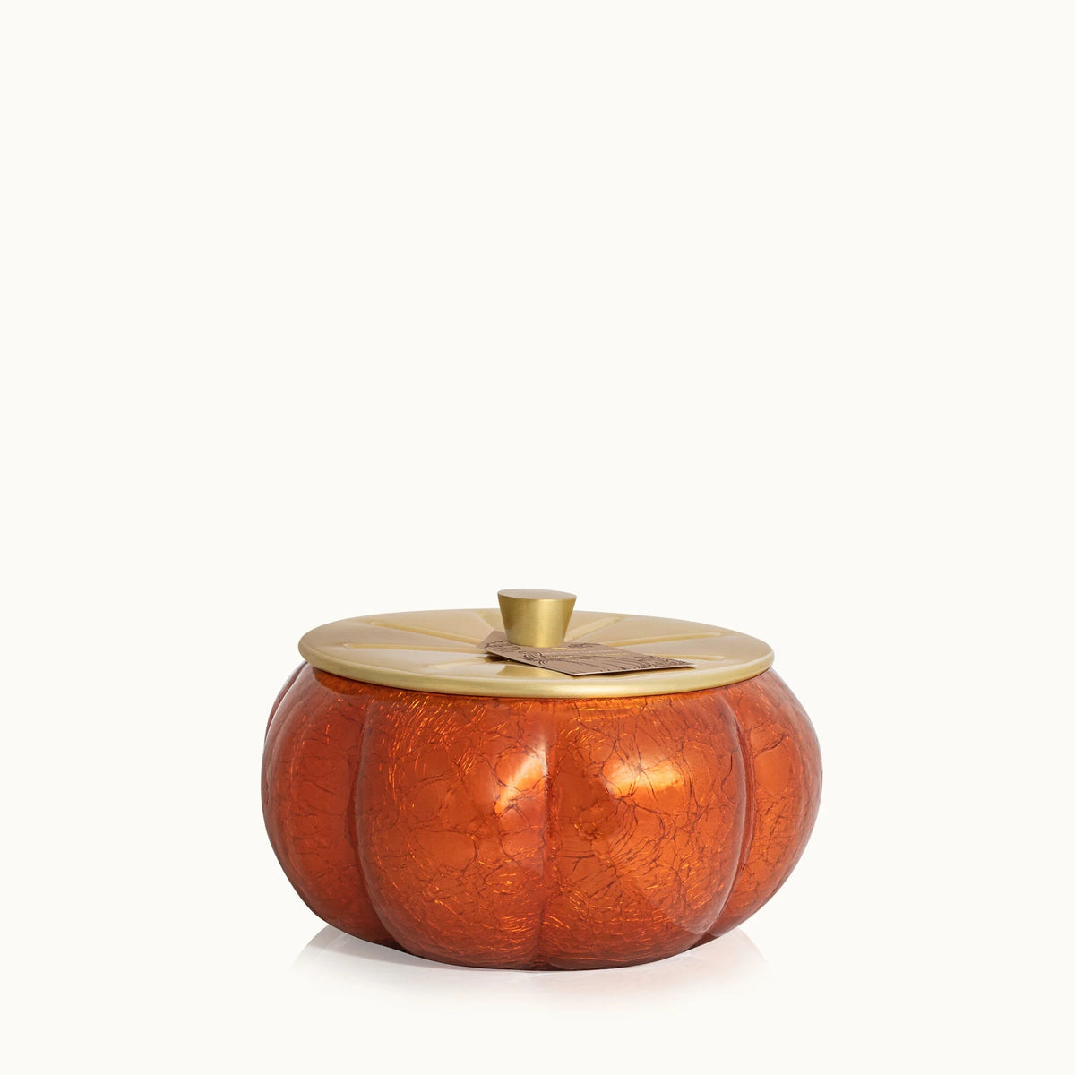 Thymes Pumpkin Lauren 15oz Large Candle